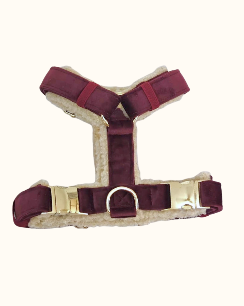 Pawradise Merlot Velvet Hondentuigje met teddyvoering, verstelbaar Y-model en luxe metalen details – stijlvol en comfortabel hondentuigje.