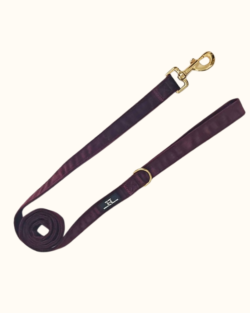Pawradise Merlot Velvet Hondenriem met luxe fluwelen afwerking en stevige metalen musketonhaak – perfect te combineren met het bijpassende tuigje.