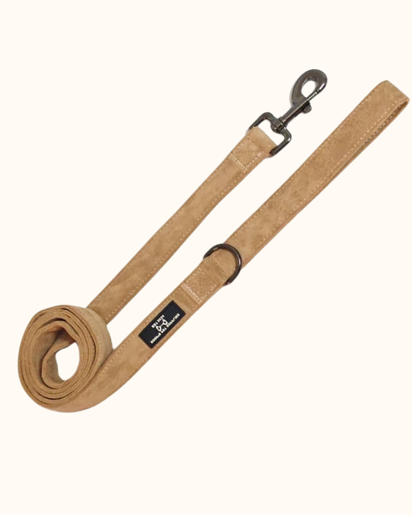 Pawradise Sand Velvet Hondenriem met luxe fluwelen afwerking en stevige metalen musketonhaak – perfect te combineren met het bijpassende tuigje.