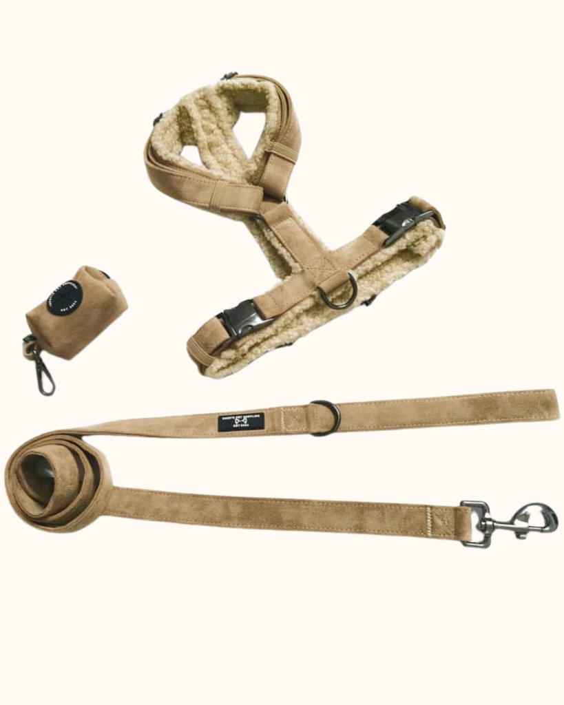 Pawradise Merlot Velvet Hondenset bestaande uit tuigje, riem en poepzakhouder in luxe fluwelen stof met zilveren details – stijlvol en comfortabel.