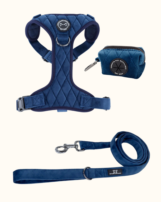Velvet set - Cobalt Dream met Tuig, Riem & Poepzakhouder