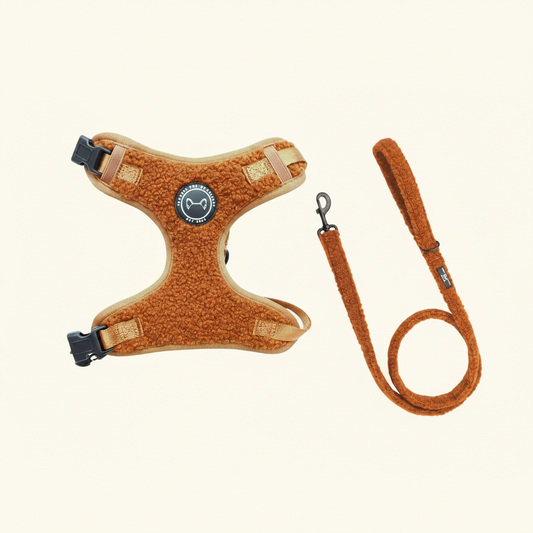 Teddy Walks set - Cognac Met Tuig & Riem