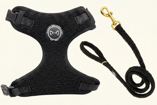 Teddy Walks set - Zwart Met Tuig & Riem