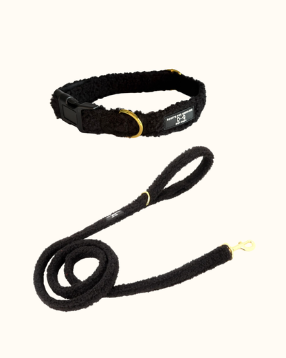 Teddy Walks set - Zwart Met Halsband &Riem