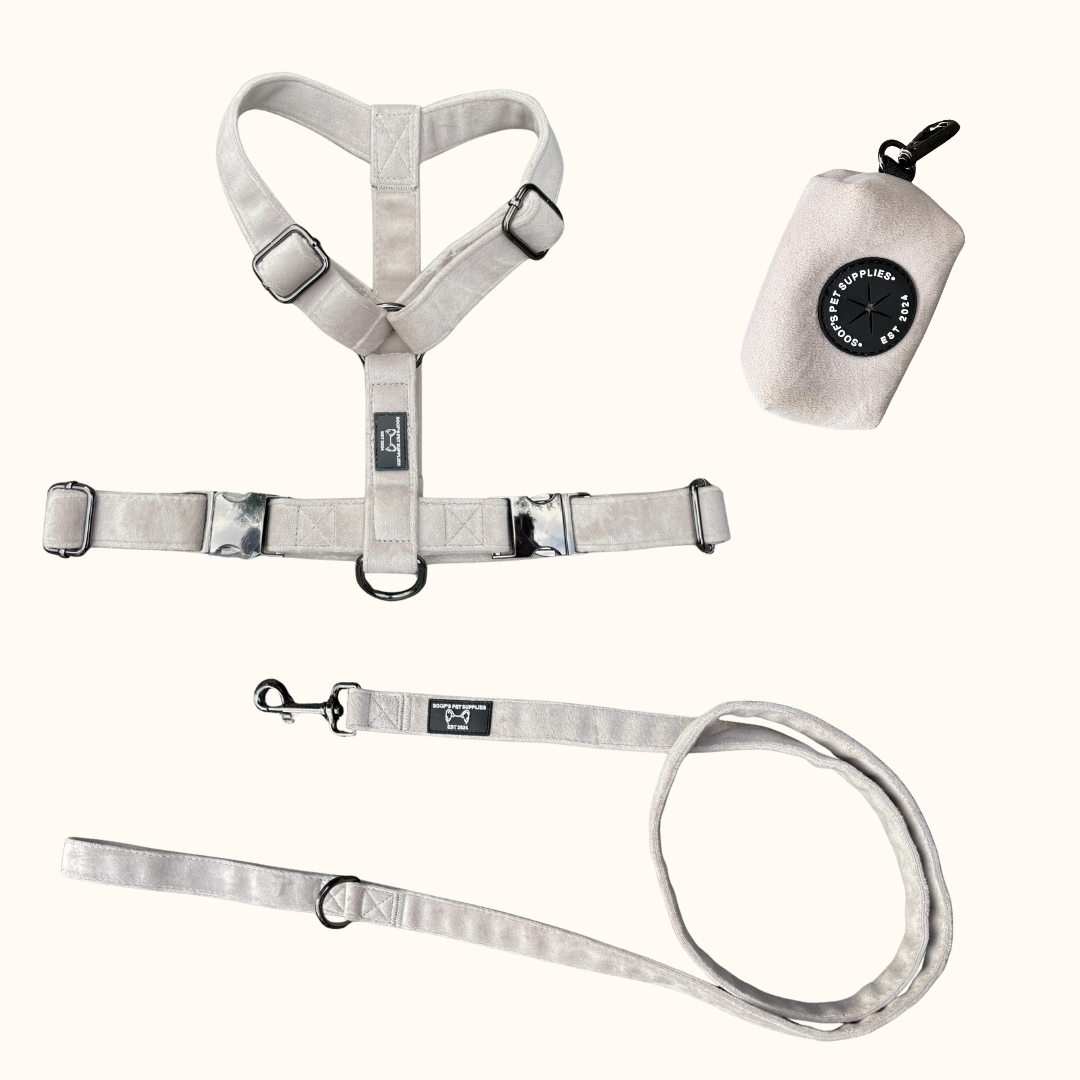 Pawradise Pebble Set | Luxe Hondentuig, Riem & Poepzakhouder