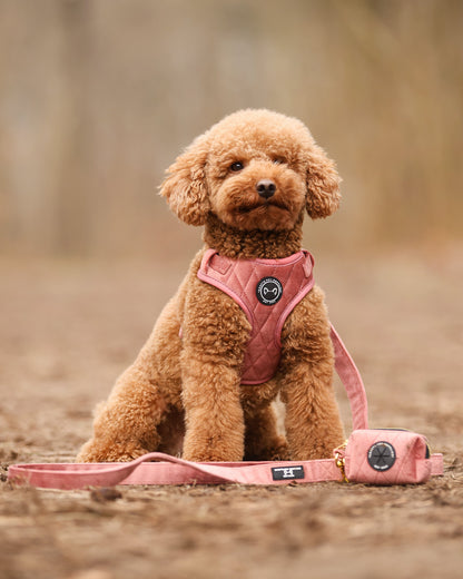 Velvet Set - Roze Met Tuig, Riem & Poepzakhouder
