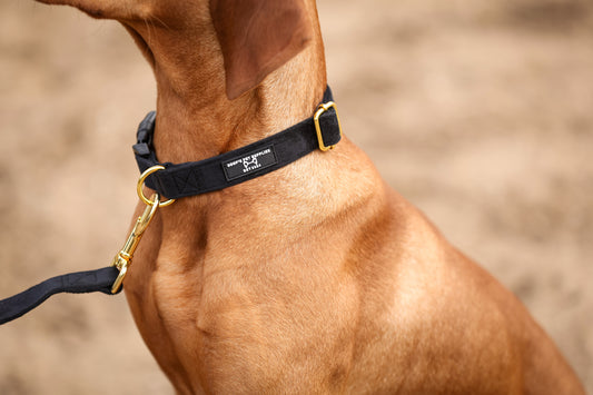 Hundehalsband aus Samt - Schwarz