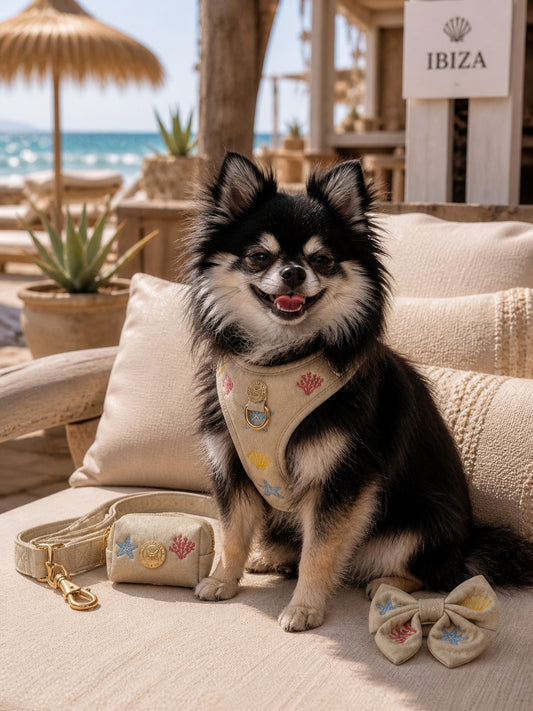 Velvet set -  Summer Stories By Jaap & Soof's Woofwear