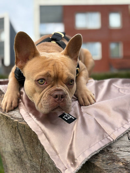 Luxe Honden kleed Creme – Velours & Fleece – 78 x 100 cm