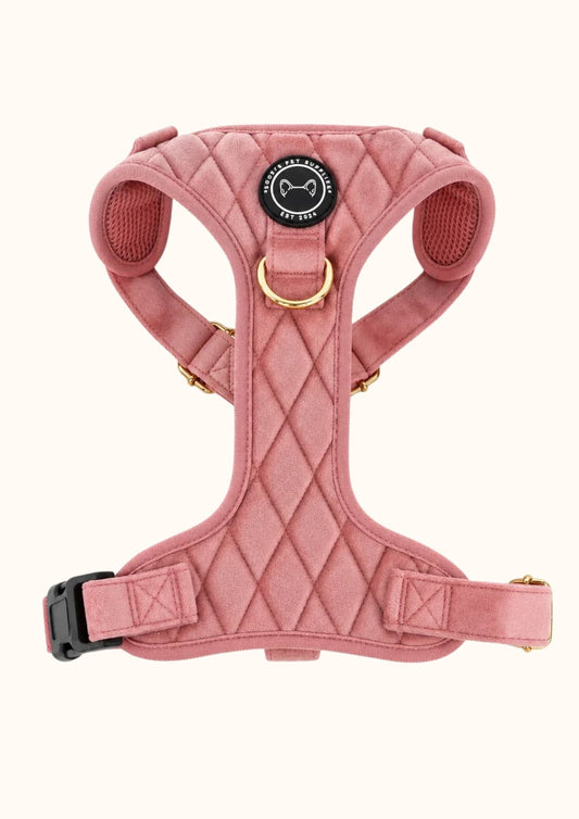 Roze velvet anti-trektuig voor honden van Soof's Pet Supplies met ergonomisch Y-model, verstelbare pasvorm en gouden hardware.