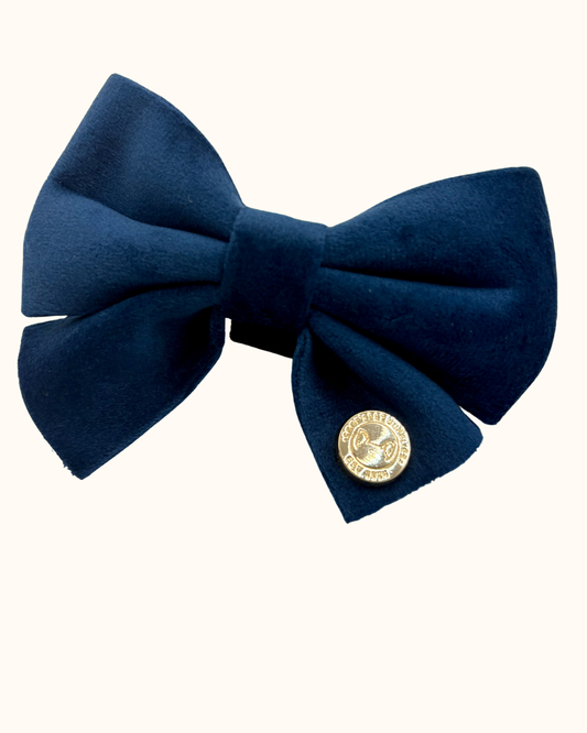 Blauwe velvet hondenstrik in cobalt kleur bevestigd aan een hondenhalsband
