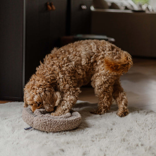 District 70 Snuffelmat SWIRL Merenque – Speels, stijlvol & stimulerend