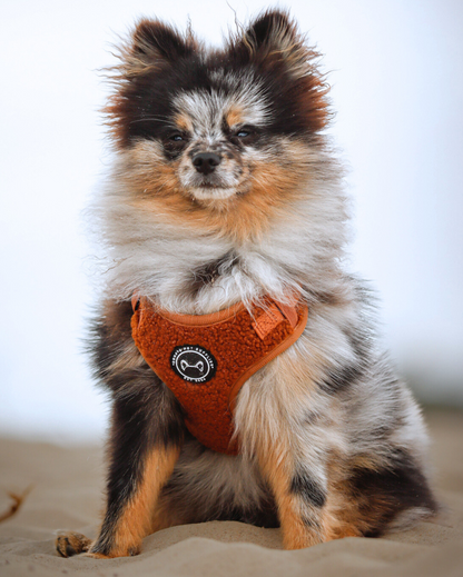 Hondentuig Teddy Walks Cognac met Extra Neksluiting